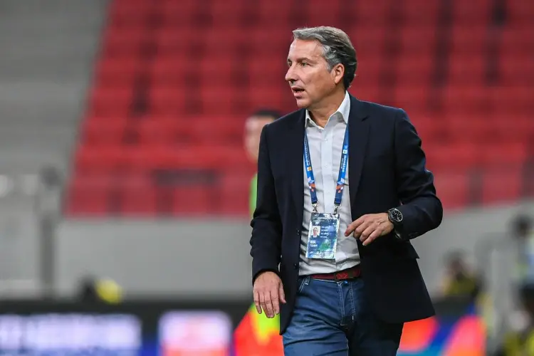 练阵容确实 练阵容确实