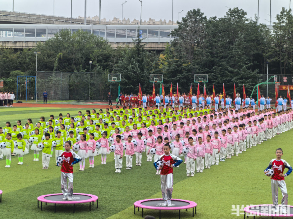 色与文化内, 育赛事之一, TeXMs