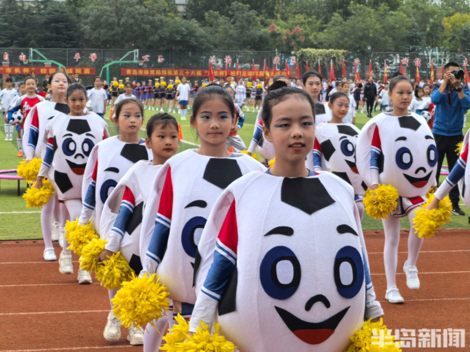 影响力最大, 学段和所有